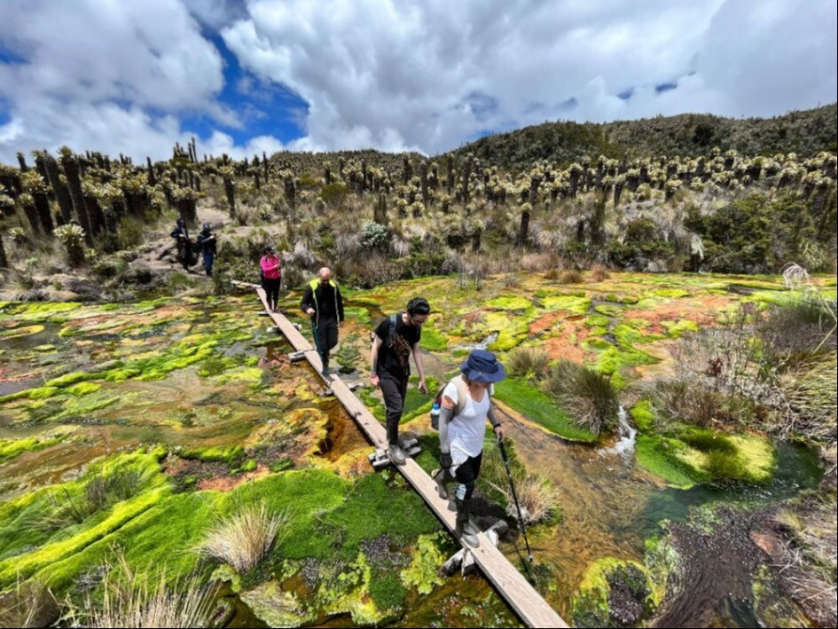 Parque nevado del ruiz