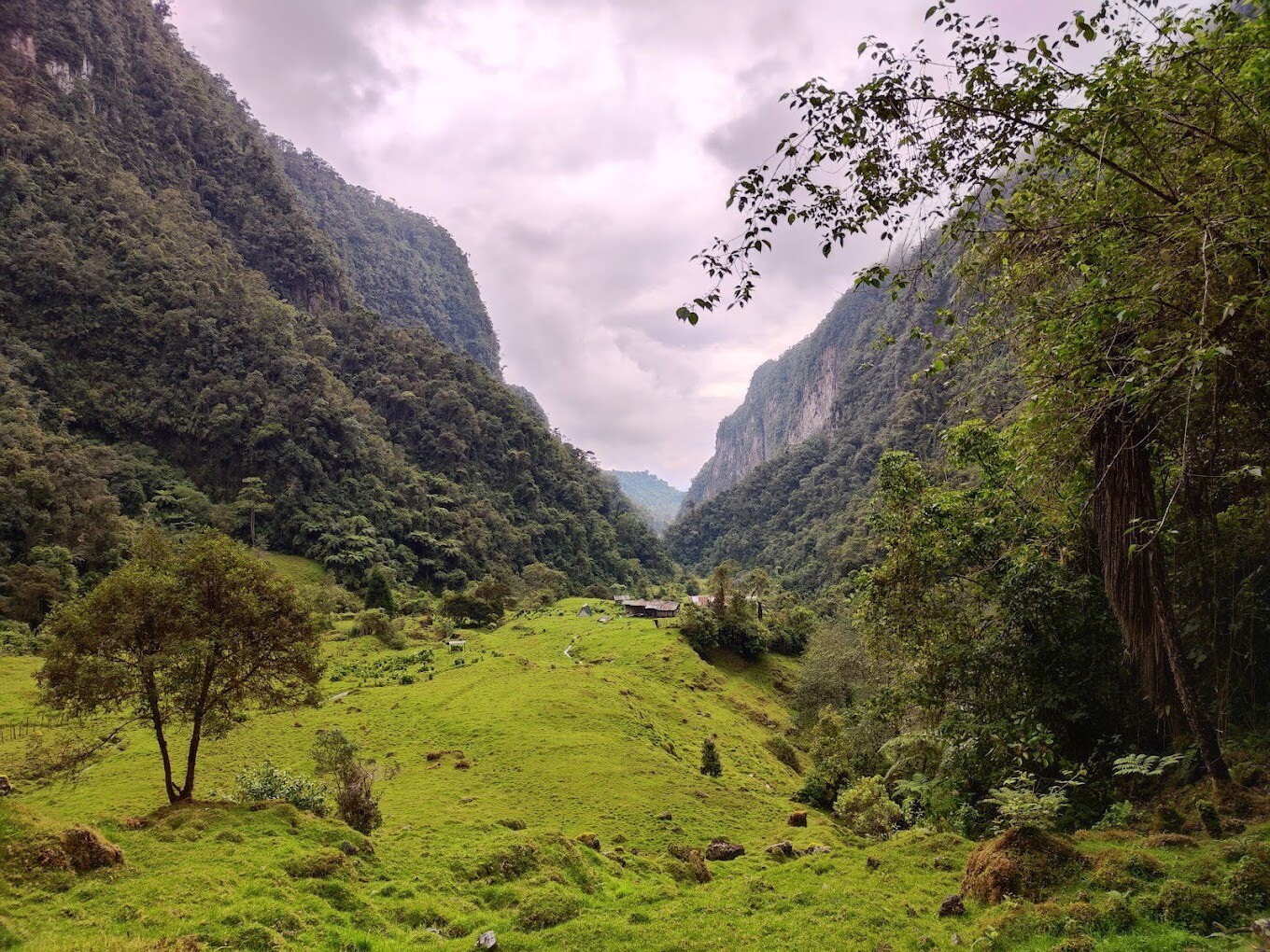 Termales De Combeima